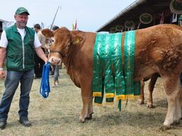 Kirsebærgårds Mathilde P fra Jan Henning Henriksen: Bedste ældre kvie, bedste hundyr, bedste dyr, egen avl i andet led, bedste pollede dyr, bedste limousine. 23 point og ærespræmie