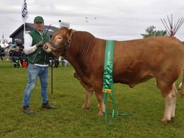 Birkely Mathias fra Jonas Henriksen. Bedste ældre tyr, 23 point og ærespræmie