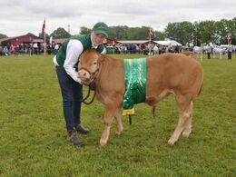 Præstegårdens Obelix fra Alex Kurt Jepsen blev bedste kødddyr og fik 22 point. Han er efter Vaselund Polled Mexico