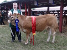 Skovly Student fr Niels Bøje Petersen. Bedste køddyr 23 point