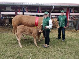 Ørnebjerggård Noel P MH+ fra Ørnebjerggård Limousine v. Anlægsgartner Jacob Kjærsgaard. Bedste ko 23 point og Ærespræmie