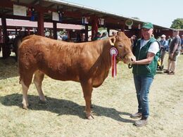 Baunebo Sunshine efter JK Lorenzo PP fra Jane Kofod. 23 point og ærespræmie