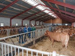 Vue over stalden, som er åben i kip og har gardiner i den ene langside