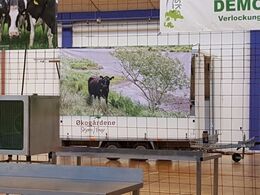 Søren Christensen driver Økogårdene Skjern Enge, der ud over naturpleje med kreaturer og heste også blandt andet indbefatter opdræt af ænder og gæs samt en malkekvægsbesætning.