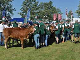 Koncentrerede udstillere set skråt bagfra