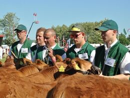 Andre koncentrerede udstillere set forfra