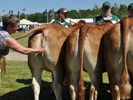 Godt at ”mor” var med til at tørre måsen bagefter…
