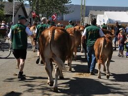 På vej til besætningskonkurrence i hal Q