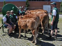 Mens der ventes på besætningskonkurrencen – sådan en lille gyllevogn gav ikke megen skygge på en varm dag