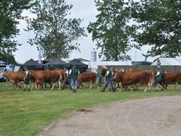 Imens blev holdvindere og andre udvalgte dyr trukket ind til ærespræmiekonkurrence