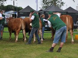 Der blev taget billeder til familiealbummet