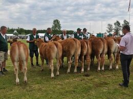 Den franske dommer var på hårdt arbejde – se mere om bedømmelserne i særskilt galleri