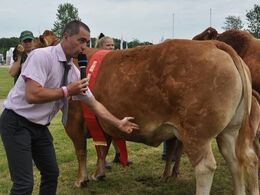 Benoit Souvignet forklarede hvordan en vinderko skal se ud