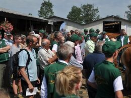 Afkomsfremstilling mellem staldene
