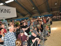 Sidst på eftermiddagen var der limousineauktionen i hal Q – publikum var forventningsfulde