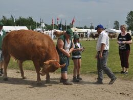Skal man neje, når man får ærespræmie?