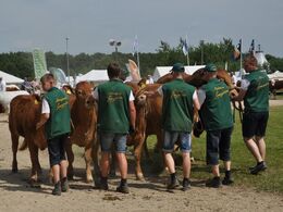 Bedste besætningsgruppe på vej mod ærespræmien