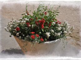 Tak for et dejligt Landsskue 2015