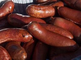 Uhmm – flotte og velsmagende limousinepølser til limousineudstillerne og deres hjælpere.