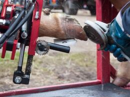 Pedicure i nærbillede