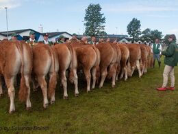 Den franske dommer, Jeanne Orlianges, startede ud i fine, men upraktiske damesko, som dog hurtigt blev skiftet ud med de iøjnefaldende, praktiske, røde galocher.