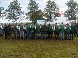 Flot syn af både dyr og trækkere, når de store hold er i ringen