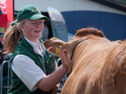 Et velfortjent klap til et dyr, som klarede sig flot
