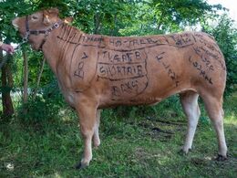 Jens Thaysens kvie lagde krop til torsdagens bodypaint