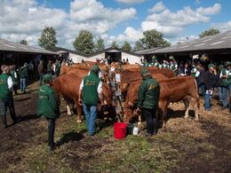 Afkomsfremstilling ved bommene