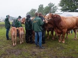 Fredag formiddag – besætningskonkurrence i regnvejr