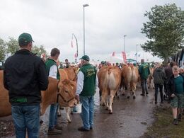 Limousiner og trækkere i venteposition til ærespræmiekonkurrencen fredag