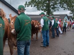 Trængsel af dyr, trækkere og publikum. Det var ikke optimalt – et held at det gik godt…