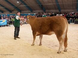 Kvien Granly Krystal var med som Joker