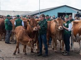Vi venter på ærespræmierne