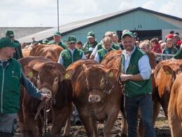 Nu må vi endelig komme i ringen
