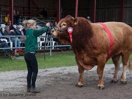 En ældre herre i adstadigt tempo