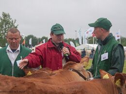 Dommeren var omhyggelig i sine bedømmelser og kommenterede på hvert eneste dyr