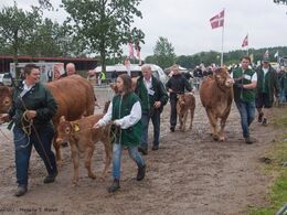 Og trafik tilbage til staldene efter endt bedømmelse