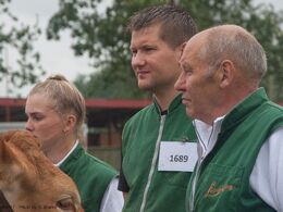 Her er far og søn i ringen sammen med en ko med kalv