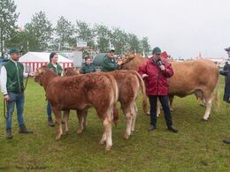 Dommeren er stadig lige veloplagt og begrunder placeringerne