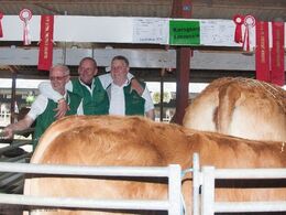 Og så er der sejrshygge, som larmer lidt mere