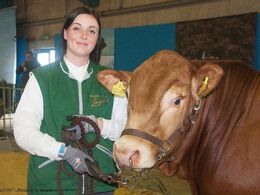 Se lige Marios øjne…