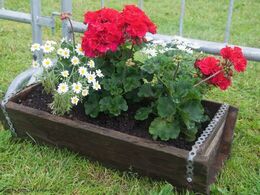 Tak til alle for deltagelse i Landsskuet 2017 – udstillere, hjælpere og frivillige. Landsskuet 2018 afholdes i dagene 5.-7. juli 2018.