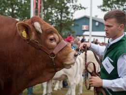 Koncentrationen lyser ud af denne mønstrer
