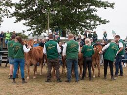 Fra bagsiden ser det sådan ud