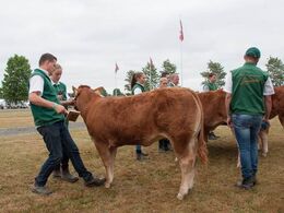 Stå så pænt med de ben