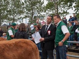 Dommeren får gode råd (?) af en udstiller