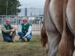 Avlersnak på indersiden af hegnet