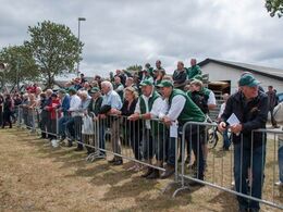 Endnu et vue over publikum