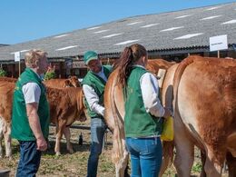 Fredag formiddag. Der gøres klar til afkomsfremstilling ved bommene.